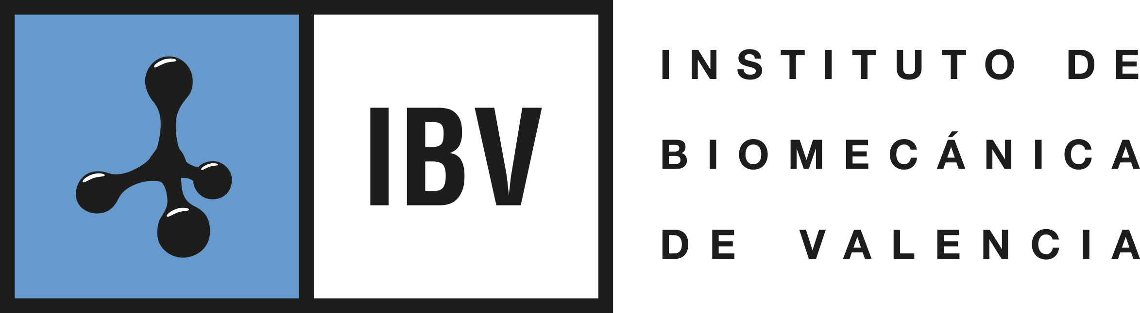 Instituto de Biomecánica (IBV)